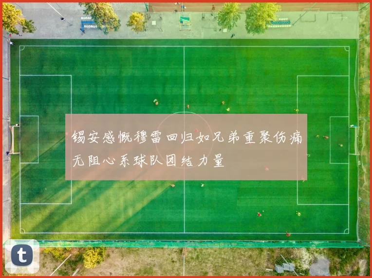 锡安感慨穆雷回归如兄弟重聚伤痛无阻心系球队团结力量